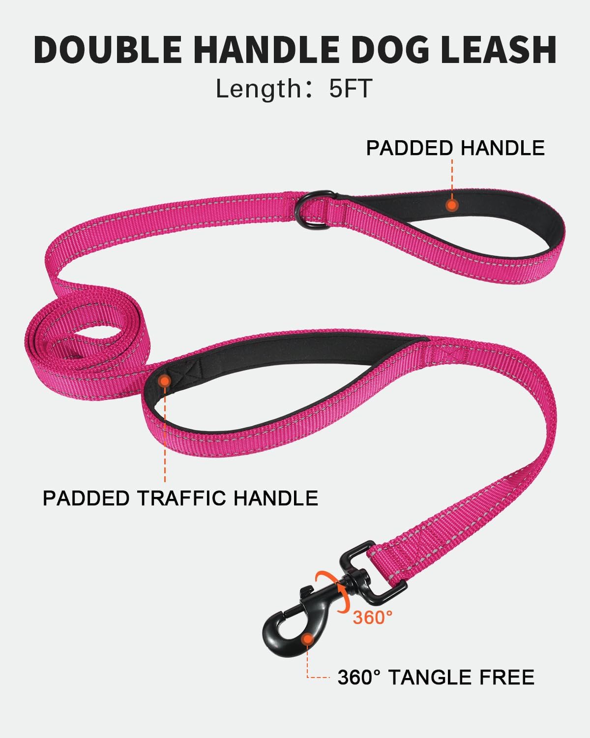 FunTags reflective martingale collar glowing under night visibility conditions