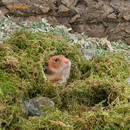 Niteangel 5L Forest Moss Soft Natural Moss Bedding Nesting for Dwarf Syrian Hamsters, Gerbils, mices, Degus or Other Small Animal - Image 5