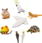 Cuttlebone for Birds 6 Pcs Large Natural Cuttlefish Bone for Parakeets - Image 3
