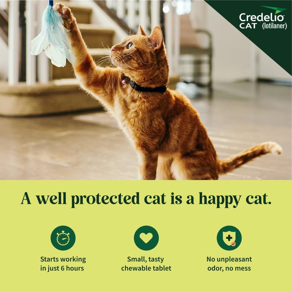 Credelio for cats 4.1 to 17 pounds dosage information