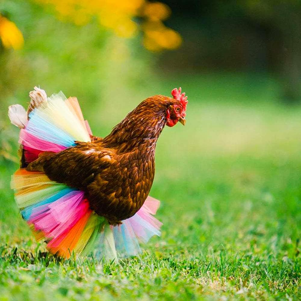 Protective hen feather saddle dress with elastic straps