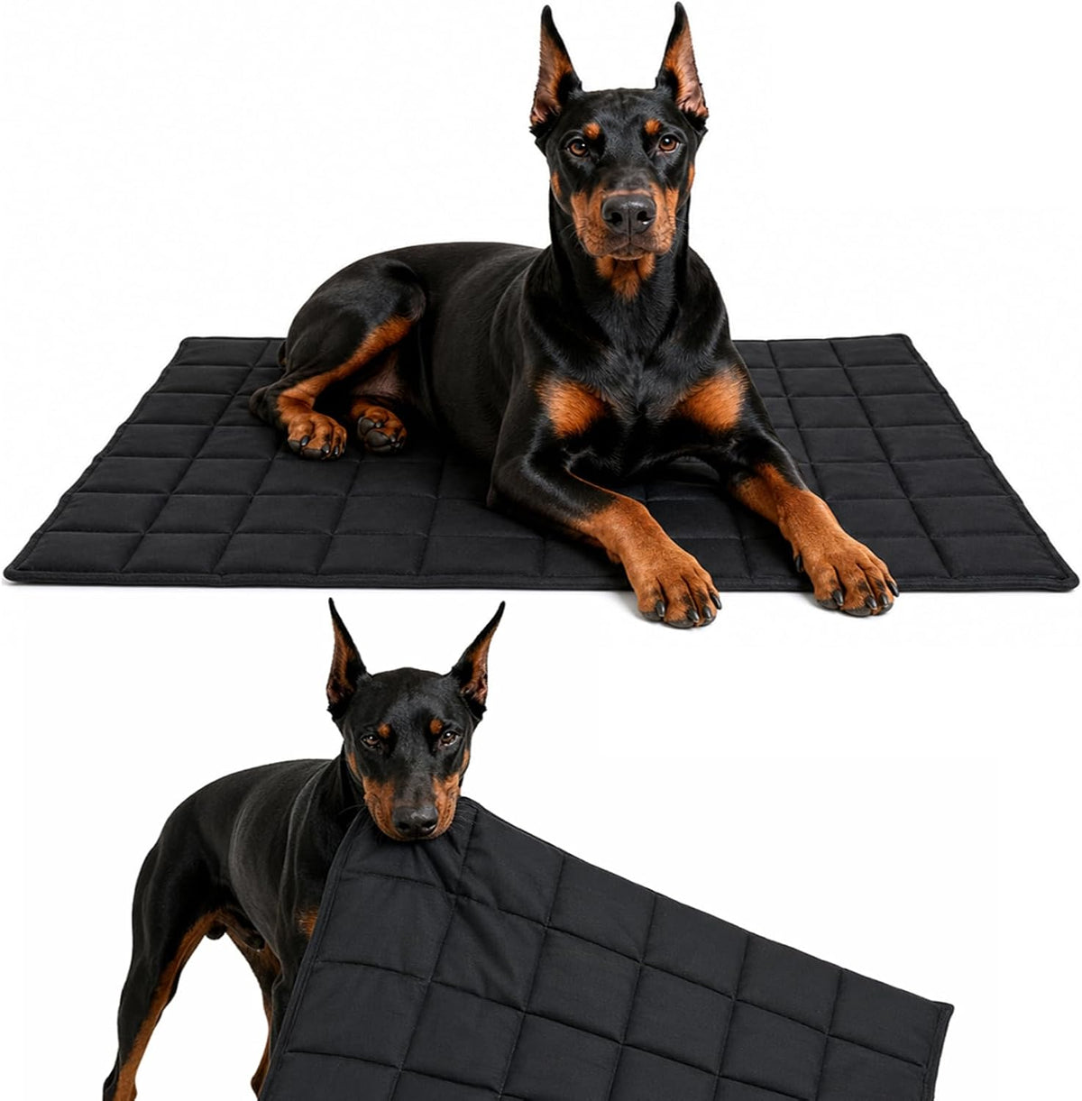 Drounphi chew proof dog crate pad front view durable mat