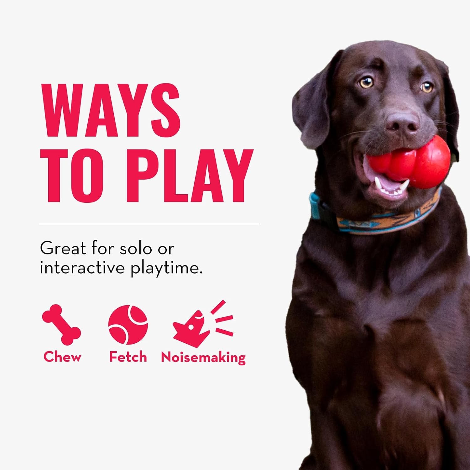 Premium interactive pet supplies showing KONG squeaker dog toy.