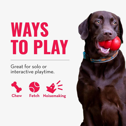 Premium interactive pet supplies showing KONG squeaker dog toy.