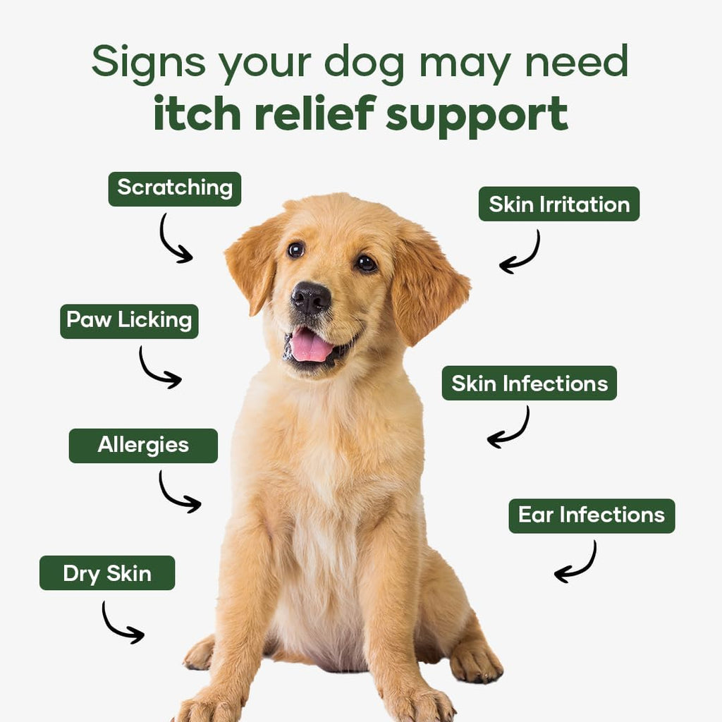 Aniwell DermaPrex anti inflammatory pet chews for scratching prevention