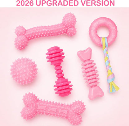 Close up of CGBD pink rubber teething toys for puppies