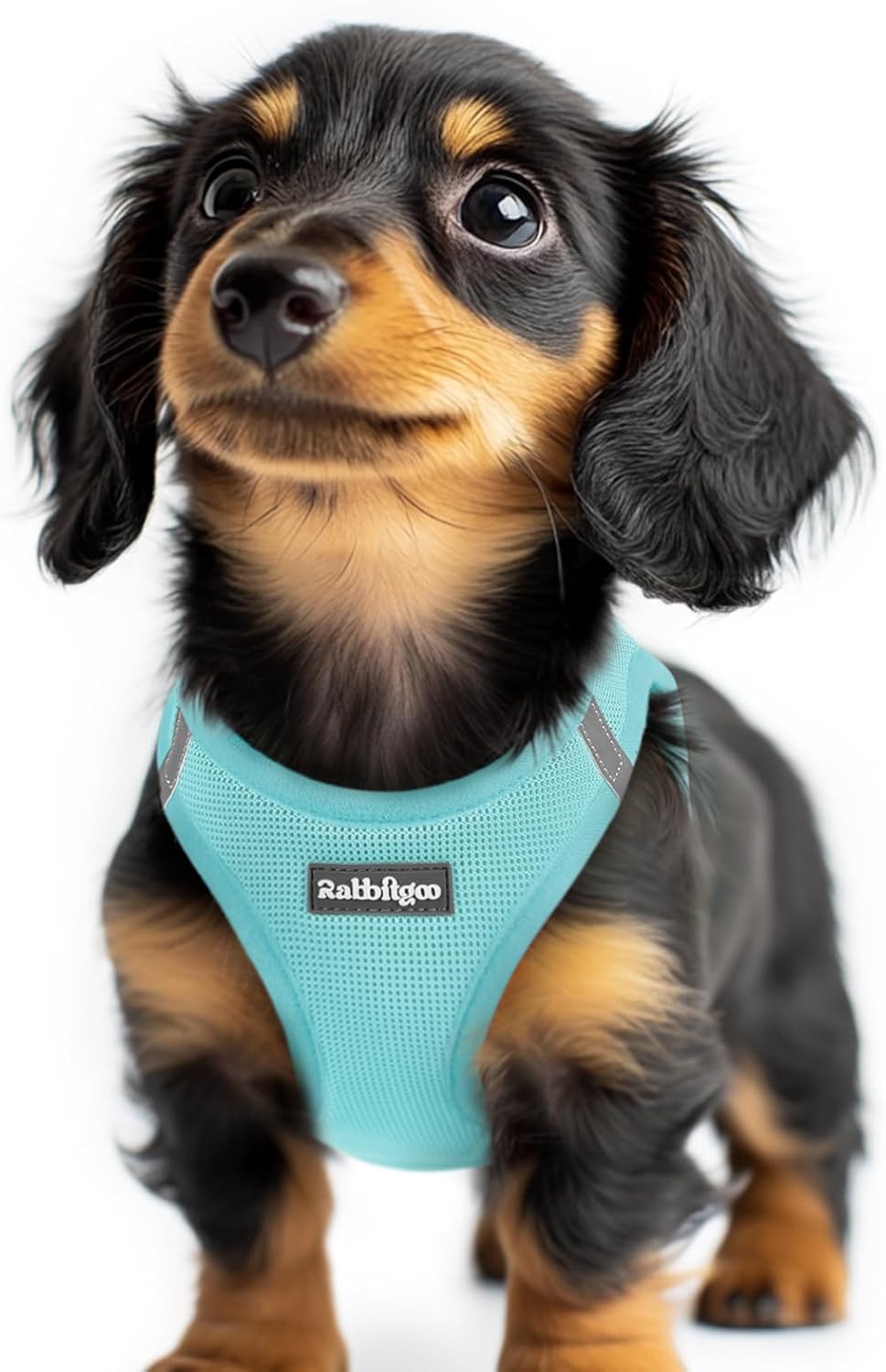 rabbitgoo Small Dog Harness, Step-in Easy On Soft Light Puppy Vest with Breathable Mesh for Walking, Safe Reflective Pet Harness for Small Sized Dogs, Navy Blue S - Image 15