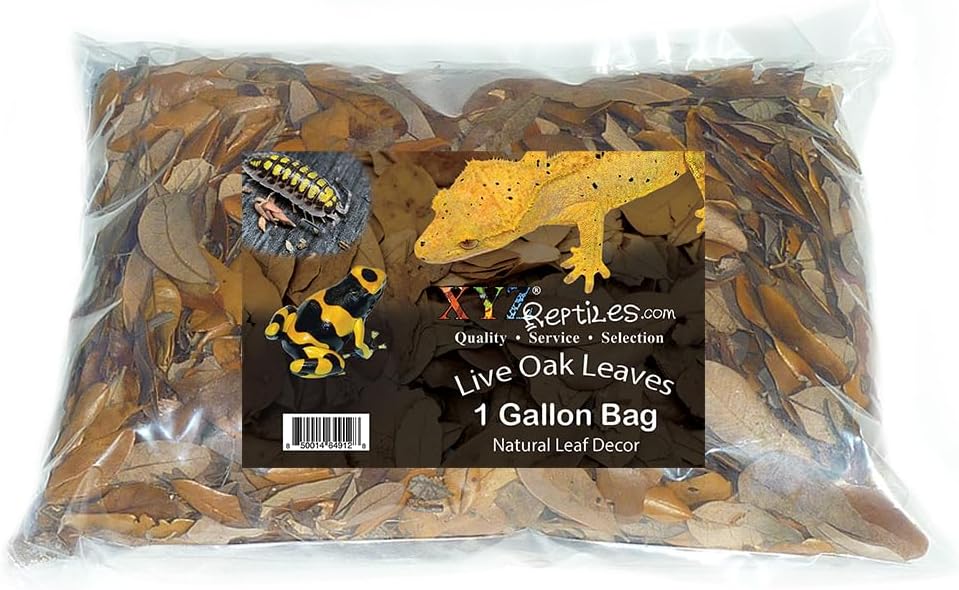 Dried natural live oak leaves for bioactive terrarium bedding