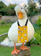 H-shape design of washable chicken clothes for indoor pets