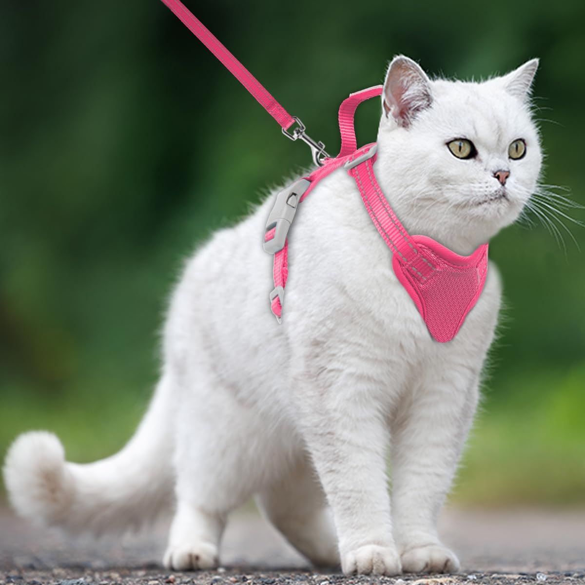 Reflective trim visibility details on pink extra small cat harness