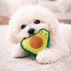 Dog playing with Jalousie squeaky plush toy bundle