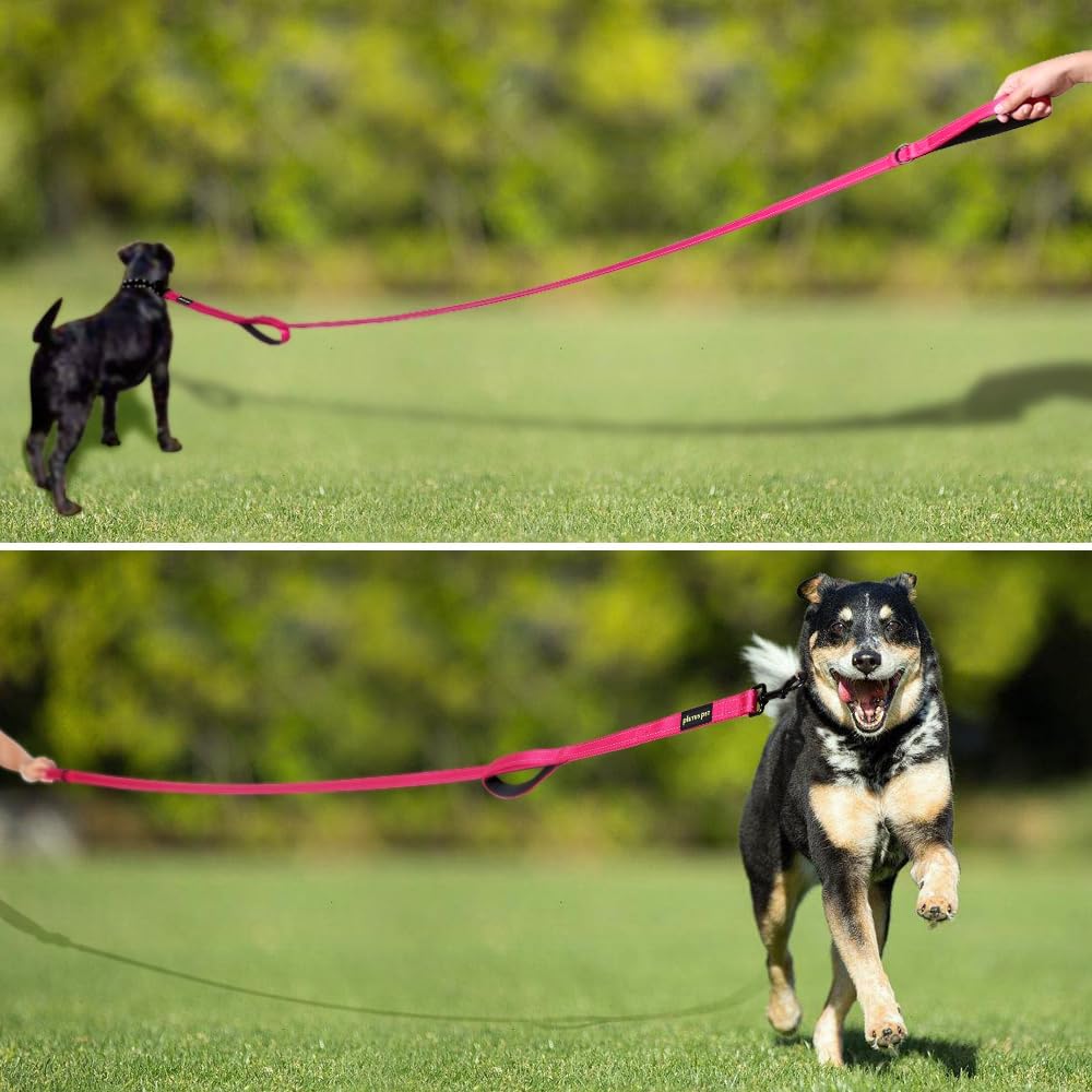 Reflective thread detailing on both sides of the pink tightly webbed nylon pet lead.