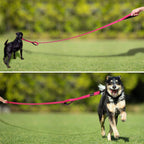 Reflective thread detailing on both sides of the pink tightly webbed nylon pet lead.
