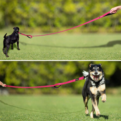 Reflective thread detailing on both sides of the pink tightly webbed nylon pet lead.