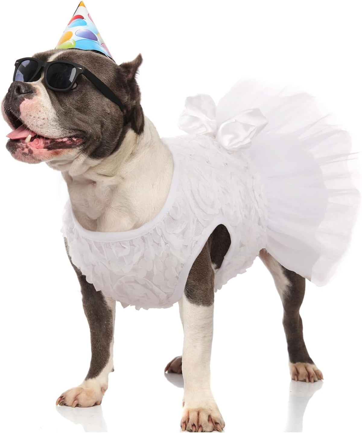 Kuoser luxury lace pet wedding dress breathable cotton lining details