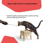 Premium pet behavior correction tool kit for teaching cat tricks and stopping bad habits indoor