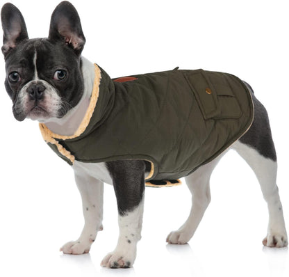 Queenmore dog jacket showing leash hole feature