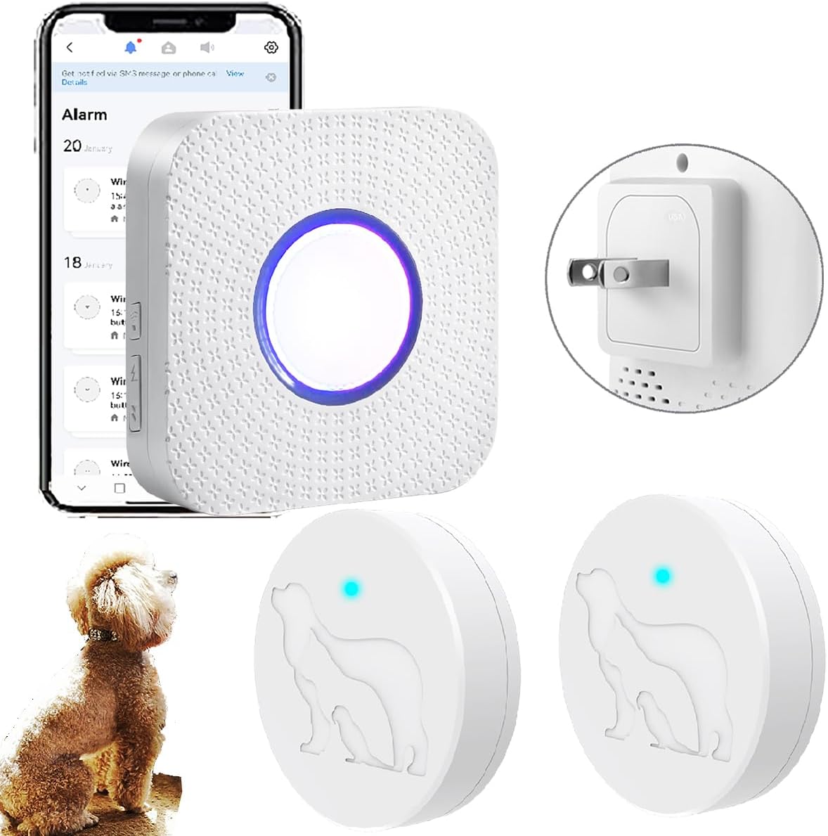 EverNary WiFi dog door bell and receiver set front view