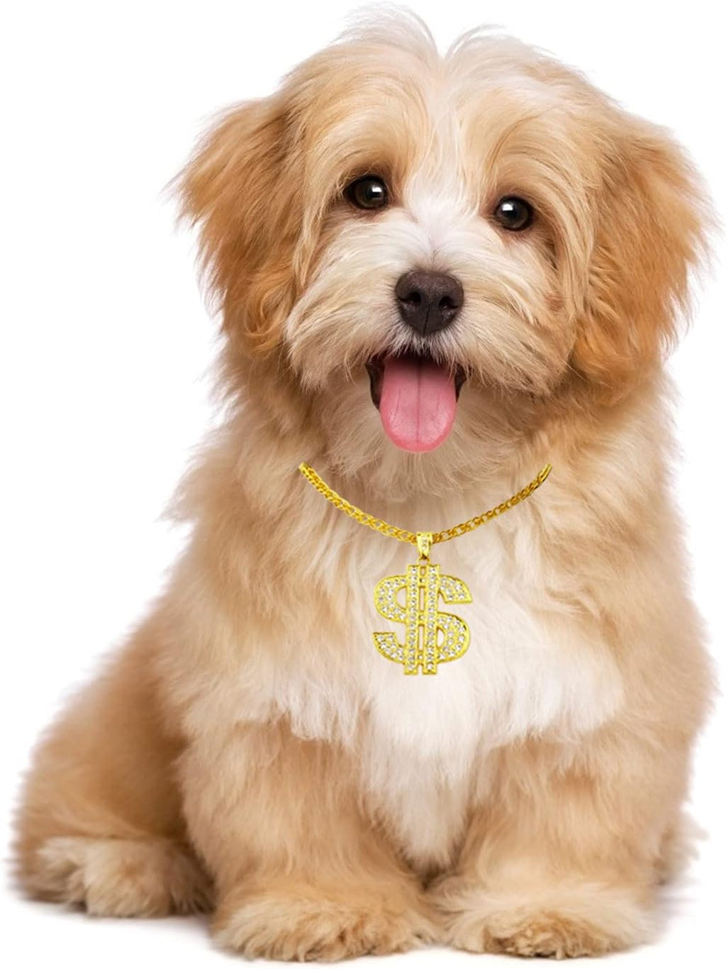 FUNKA Gold Chain Dog Collar packaged as a stylish pet fashion accessory gift.