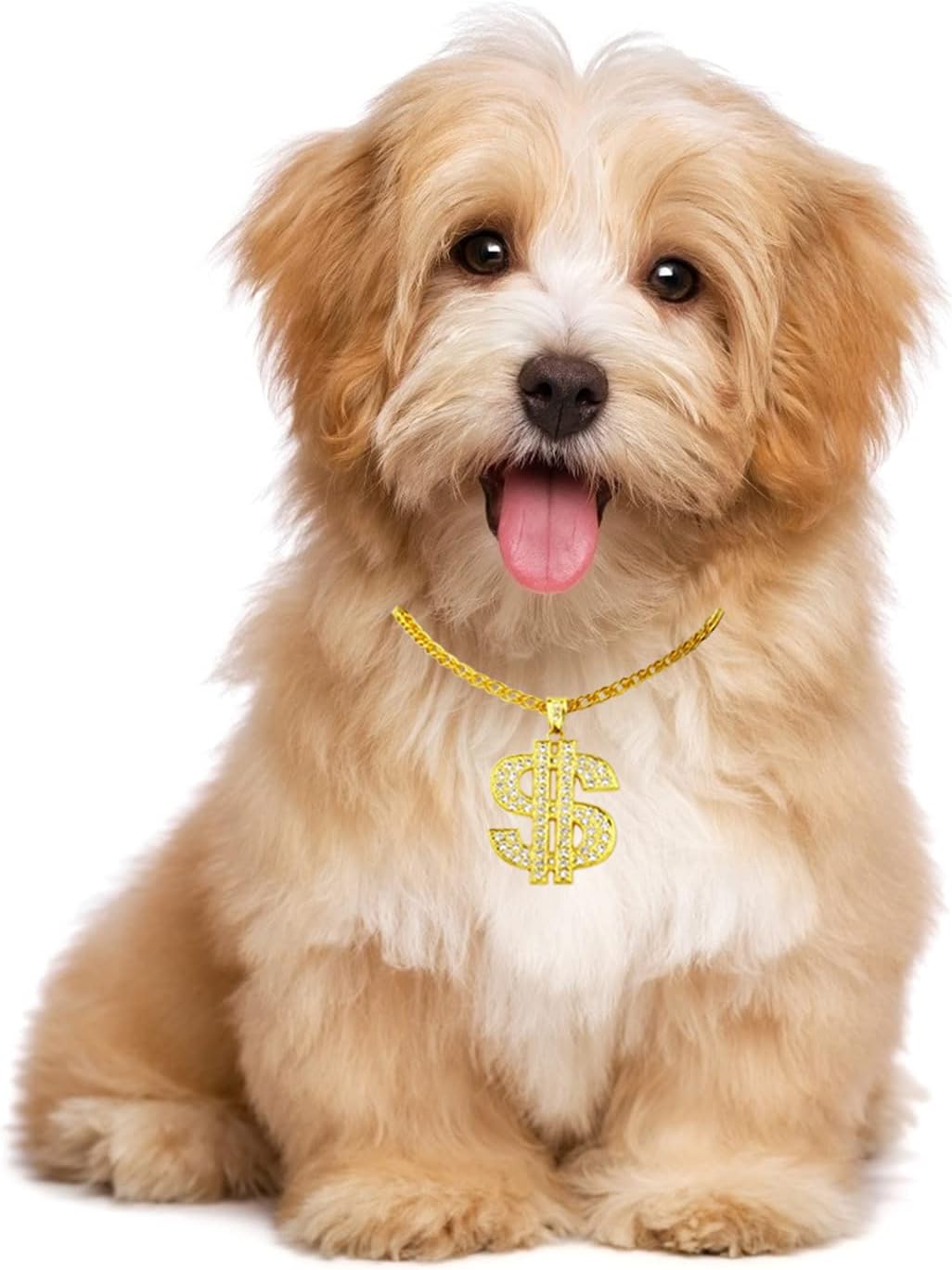 FUNKA Gold Chain Dog Collar packaged as a stylish pet fashion accessory gift.