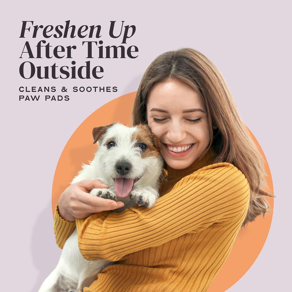 Convenient dog paw spray for daily hygiene