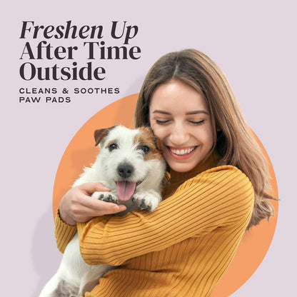Convenient dog paw spray for daily hygiene