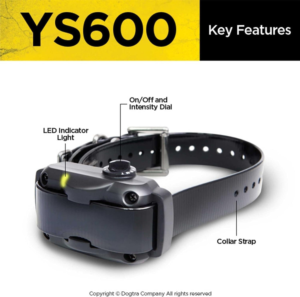 Dogtra YS600 collar featuring stainless steel contact points