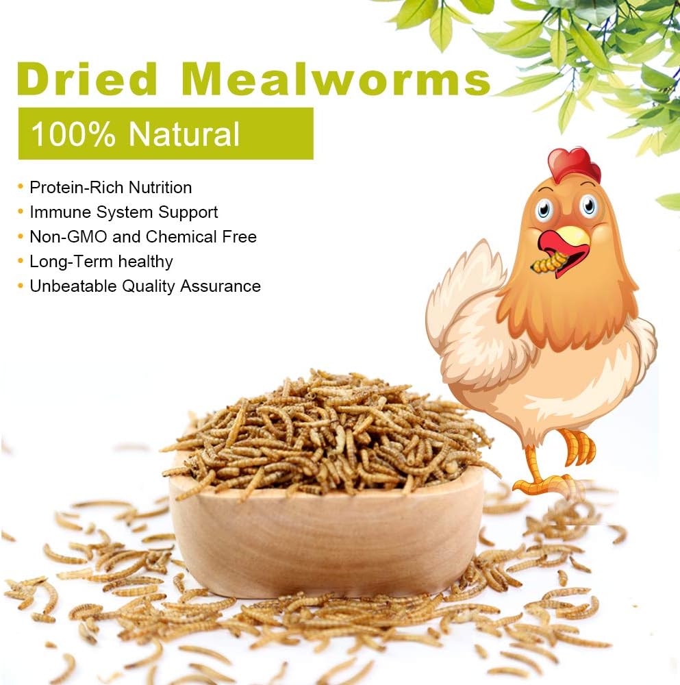 Pile of natural dried mealworms for bird feed