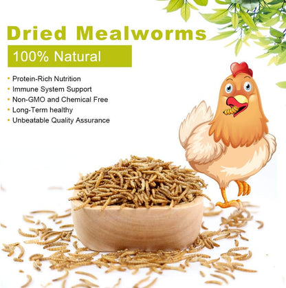 Pile of natural dried mealworms for bird feed
