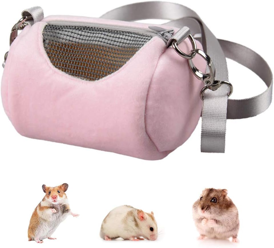Wontee small pet carrier lifestyle outdoor view