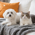 Lightweight pet blanket being placed inside a plastic cat carrier
