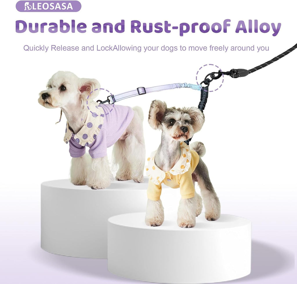 Close up of the heavy duty hardware on the double dog leash coupler