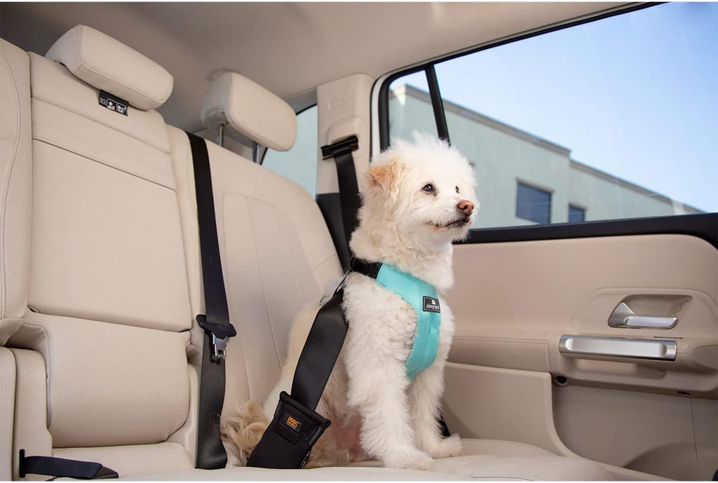 Sleepypod crash tested dog harness buckles and adjustment straps
