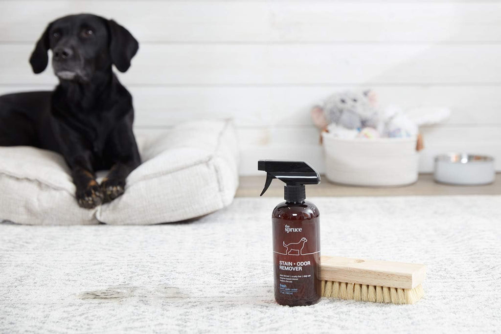 The Spruce Pet Stain And Odor Remover nozzle spray mechanism close up.