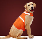 Vizbrite high visibility reflective dog vest front view orange