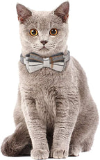 Faleela Breakaway Cat Collar with Bells - 2 Pack Cat Collar with Bells, Cat Collars with Bandana, Accessories for Pet Collars, Adjustable for Cats and Small Dogs - Image 5