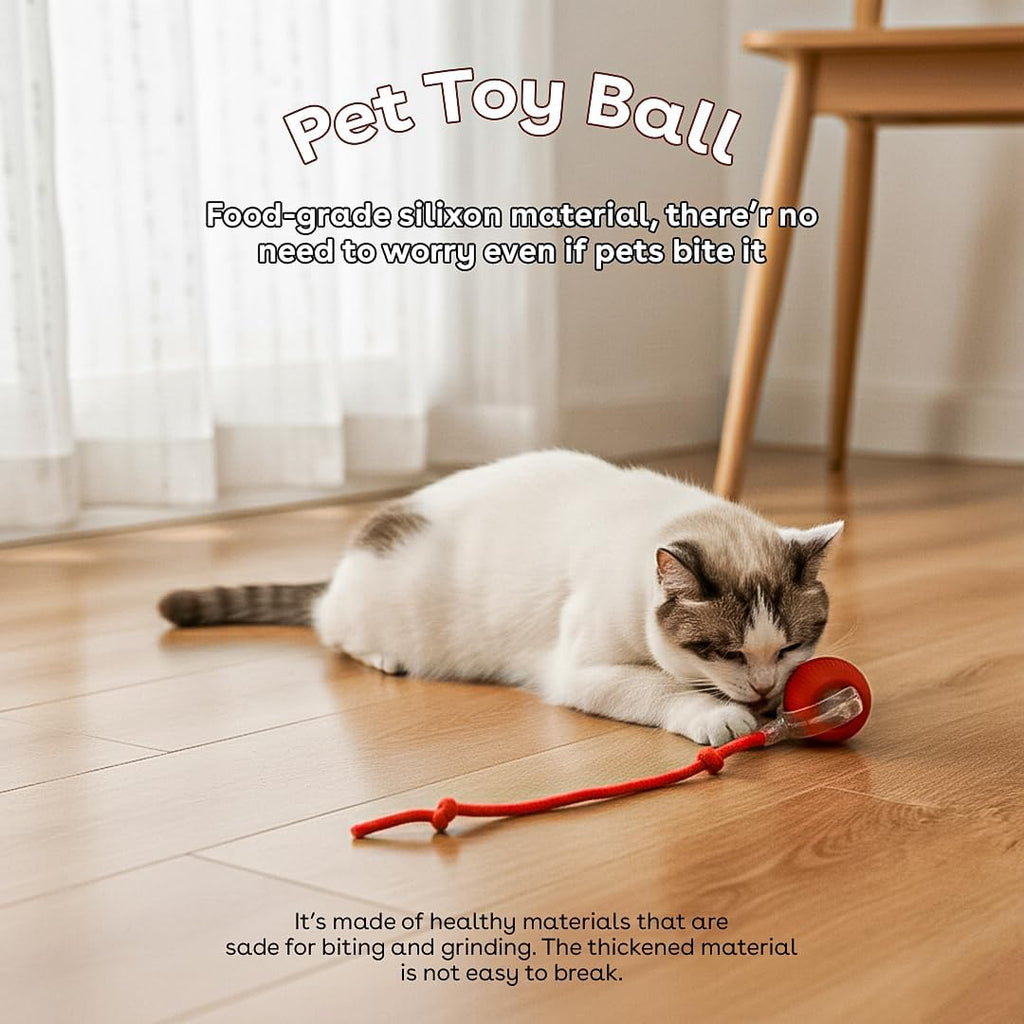 NatureTails motion activated cat ball showing USB charging port assembly