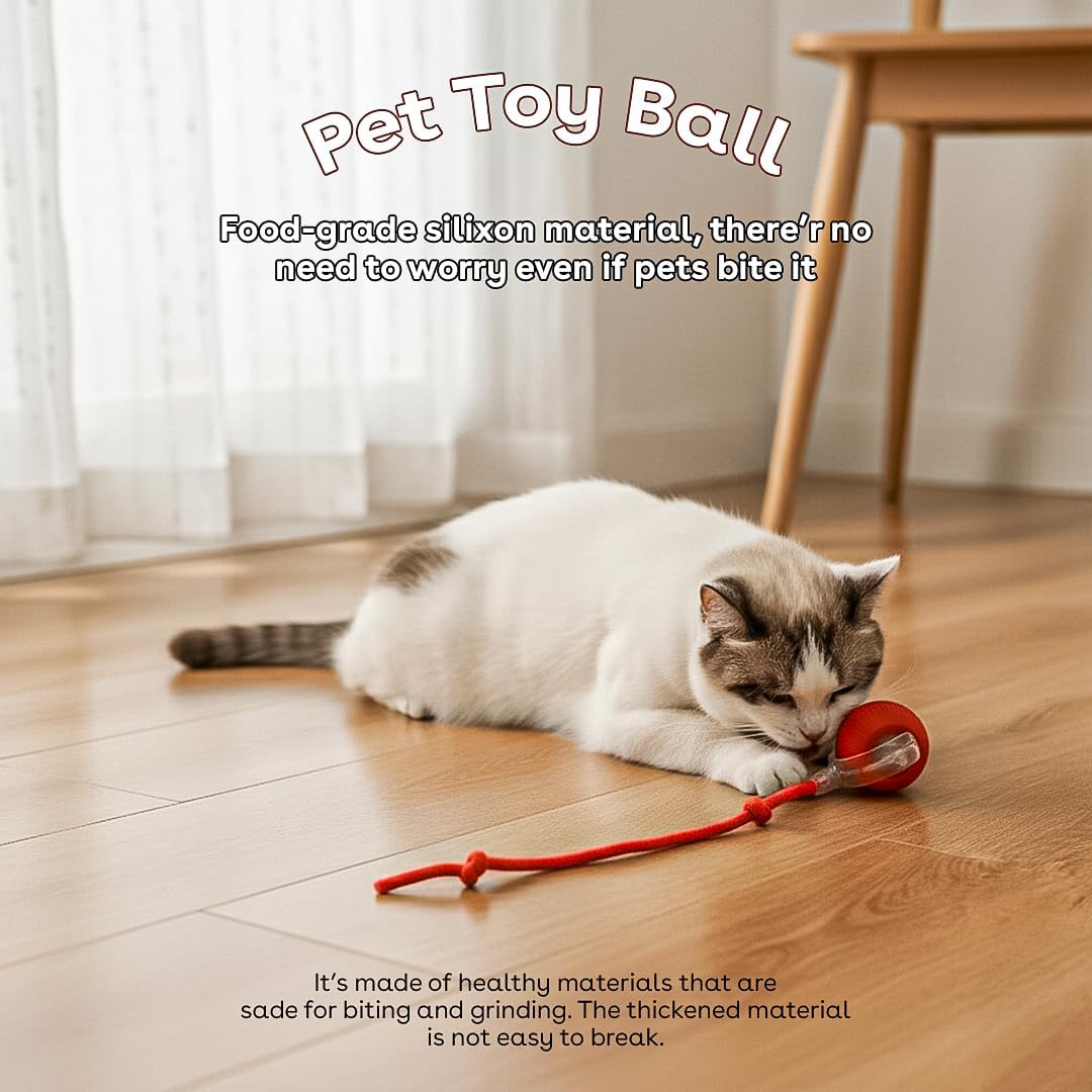 NatureTails motion activated cat ball showing USB charging port assembly