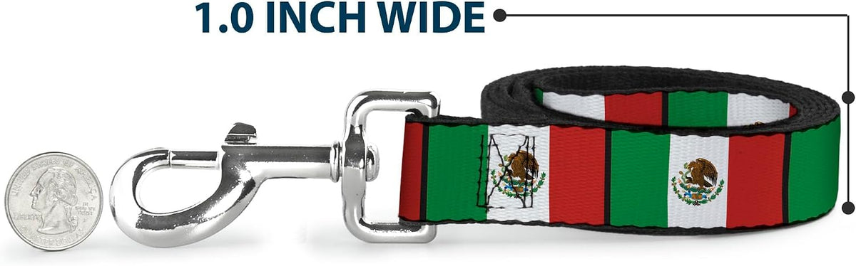 Buckle-Down polyester pet leash hardware view