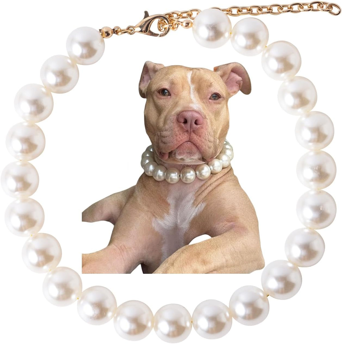 Packaging view of the imported USA authentic Daovace luxury beaded dog collar for small dogs.