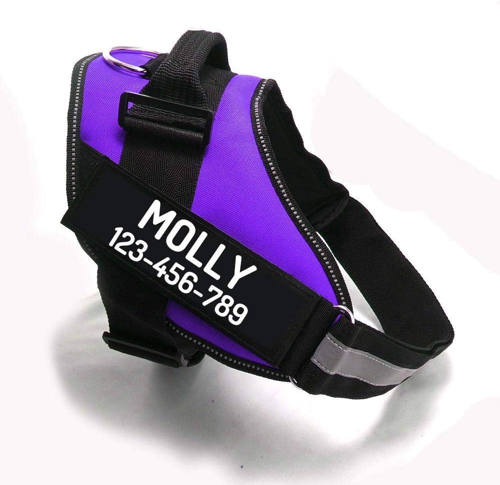 Custom No Pull Dog Harness with Name and Phone Number, Heavy Duty Personalized Pet Vest to Prevent Tugging, Pulling, or Choking, Training and Walking (Pink, S (10-19LBS)) - Image 13