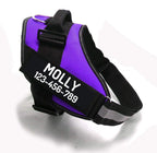Custom No Pull Dog Harness with Name and Phone Number, Heavy Duty Personalized Pet Vest to Prevent Tugging, Pulling, or Choking, Training and Walking (Pink, S (10-19LBS)) - Image 13