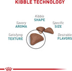 Imported USA cat food by Royal Canin designed for adult cats prone to hairballs