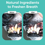 USA imported iHeartDogs fresh breath supplement for pets on a clean background.