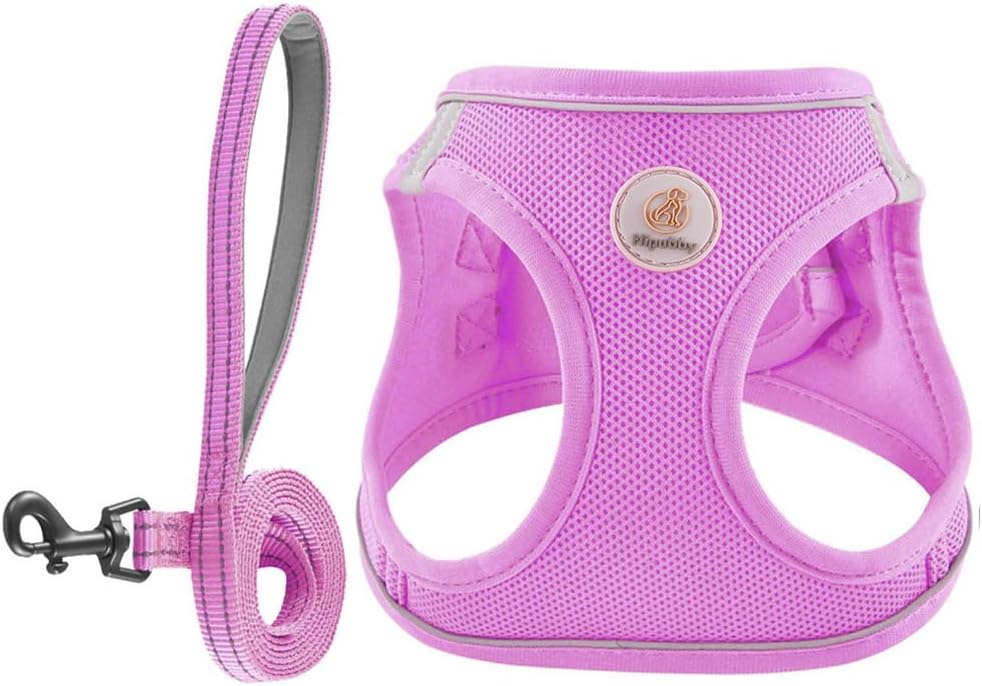 Hipubby Dog Harness and Leash Set, No Pull Soft Mesh Puppy Harness for Small Medium Dogs, Cats - Step in Reflective Breathable Lightweight Vest Harness for Walking, Training - Pink, XS - Image 12