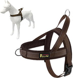 Plutus Pet No Pull Dog Harness with Breathable Mesh Padded, Adjustable Reflective Escape Proof Dog Harness, Quick Fit Dog Vest Harness for Small Medium Large Dogs(M, Beige) - Image 15