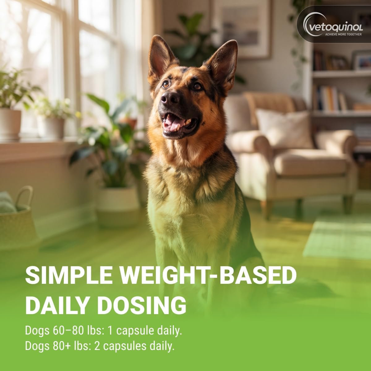 Vetoquinol triglyceride omega capsules daily dosage instructions for pet food