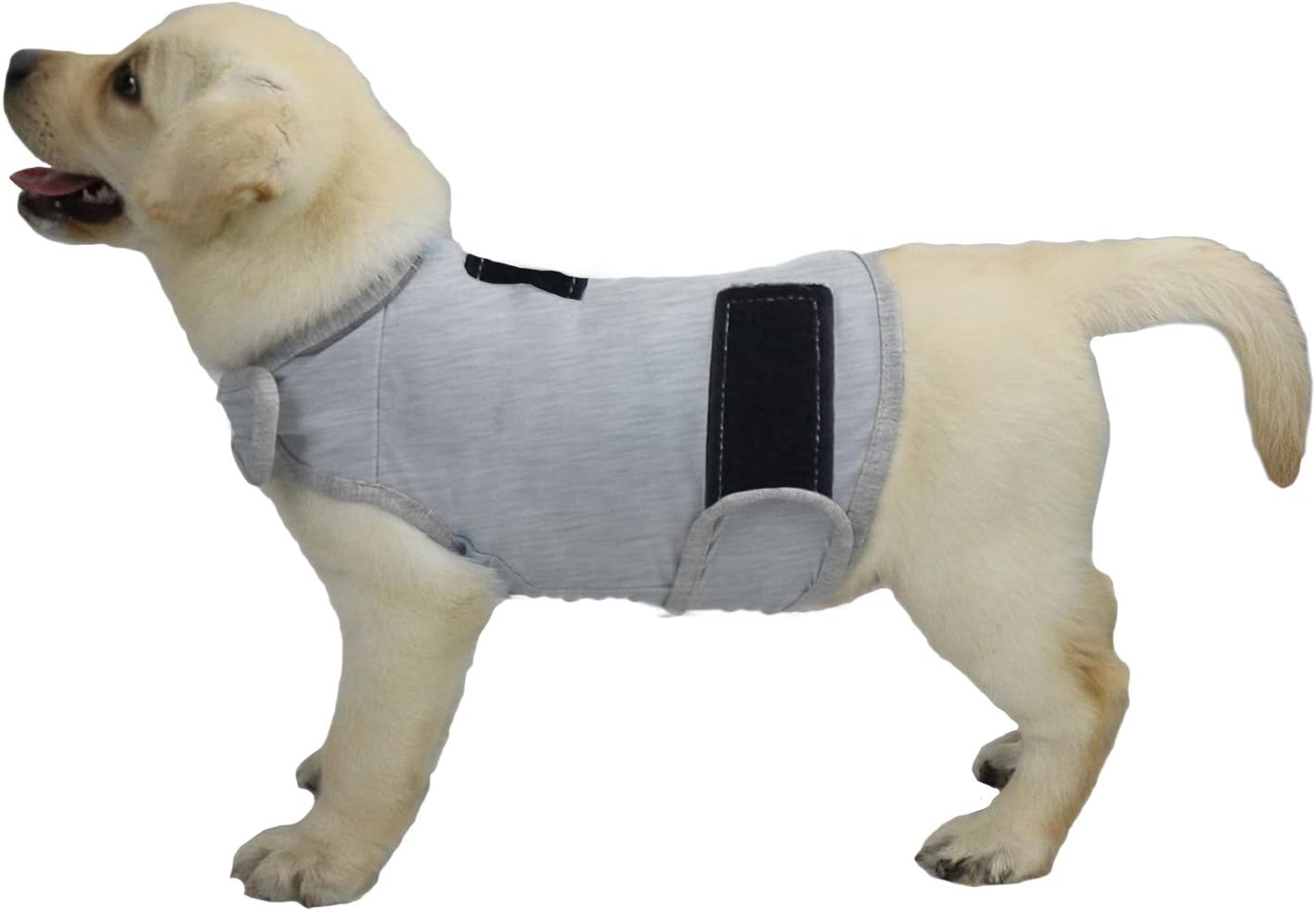 Comfort Dog Anxiety Relief Coat, Dog Anxiety Calming Vest Wrap for Thunderstorm,Travel,4th of July Fireworks,Vet Visits,Separation Anxiety Relief for Dogs (S, Rose) - Image 13
