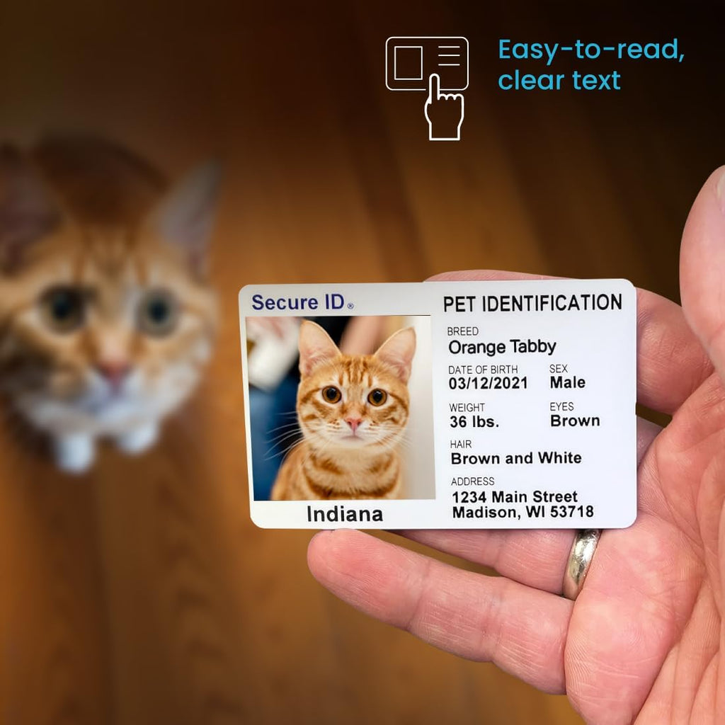 Back view of pet home alone care instructions card layout.