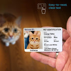 Back view of pet home alone care instructions card layout.